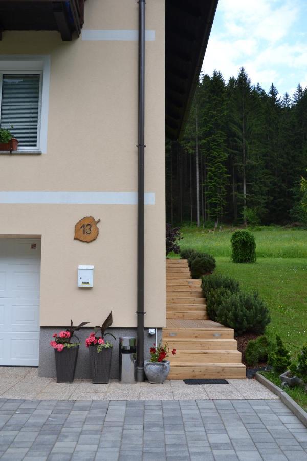 Apartma Ob Potoku Luče 외부 사진